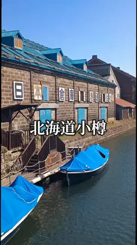 トータスのTikTok投稿