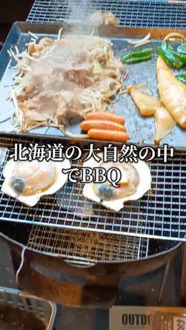トータスのTikTok投稿
