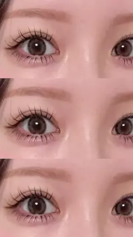 🦄のTikTok投稿