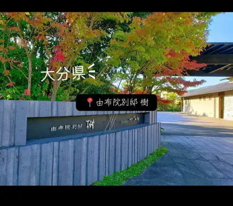 X Japanforever loveのTikTok投稿