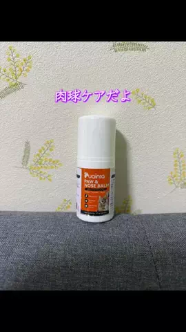 めいのTikTok投稿