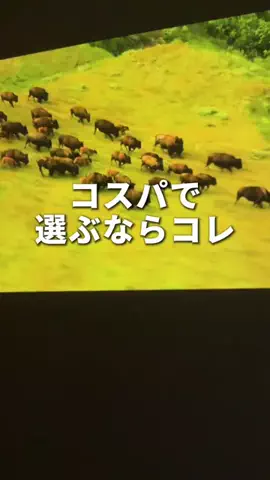 そると/iPhone便利機能/ガジェットのTikTok投稿