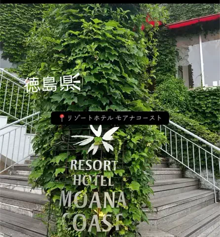 X Japanforever loveのTikTok投稿