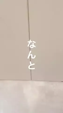ゆみのTikTok投稿
