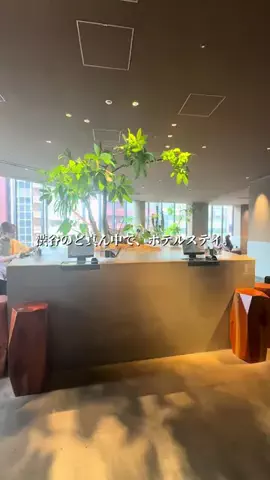 こは旅。✈️〜旅する家族〜🪿のTikTok投稿