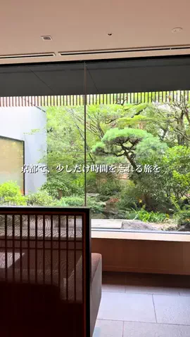 こは旅。✈️〜旅する家族〜🪿のTikTok投稿