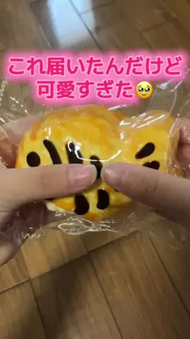 YURIのTikTok投稿