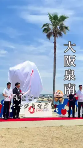 万博ママのTikTok投稿