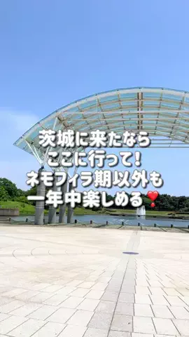 マトリョーシカ🪆のTikTok投稿