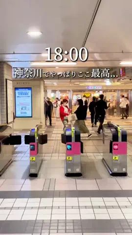 神奈川グルメ旅のTikTok投稿