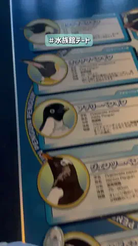 群馬発すー旅⌇旅と暮らしのTikTok投稿