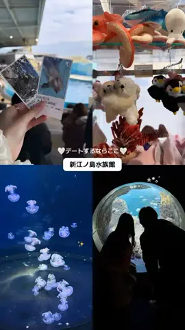群馬発すー旅⌇旅と暮らしのTikTok投稿