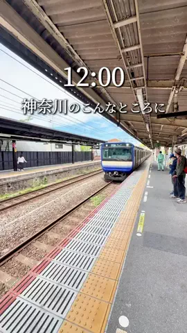 神奈川グルメ旅のTikTok投稿