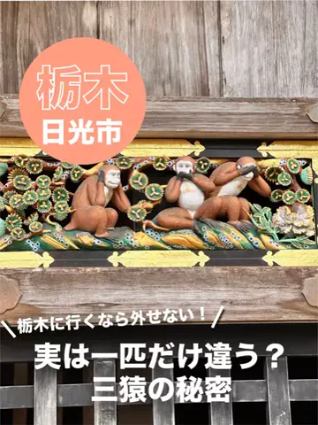 マトリョーシカ🪆のTikTok投稿