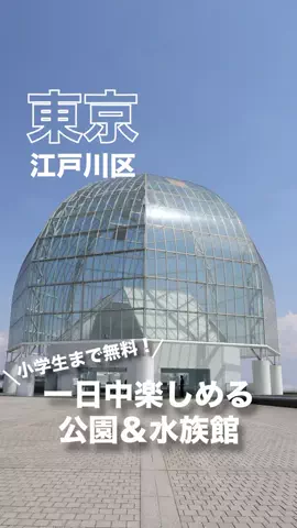 マトリョーシカ🪆のTikTok投稿