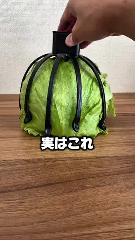 これこれストア【商品紹介】のTikTok投稿