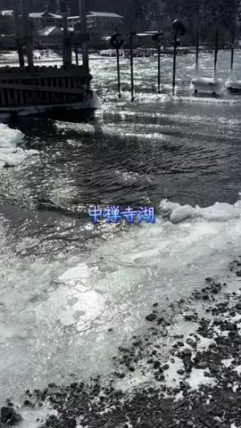 おとけしきのTikTok投稿