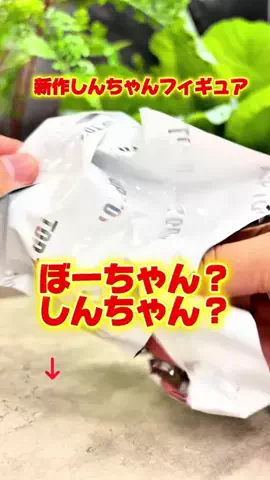 カーニャランドのTikTok投稿