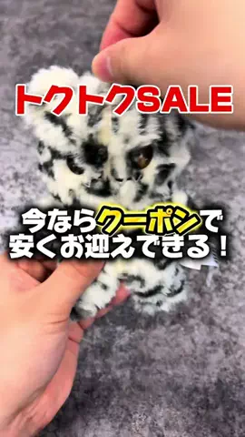 カーニャランドのTikTok投稿