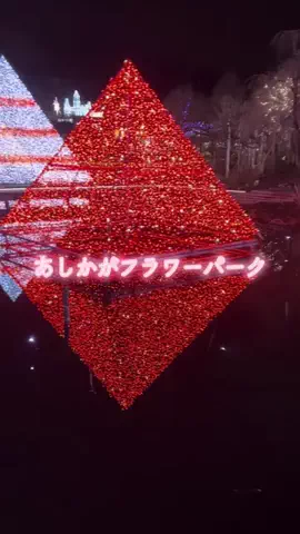 おとけしきのTikTok投稿