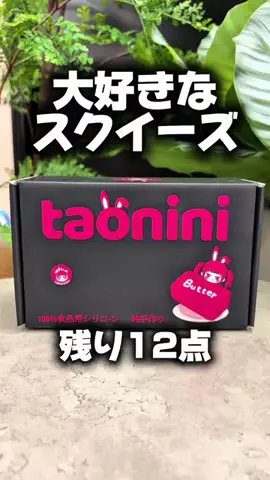 カーニャランドのTikTok投稿