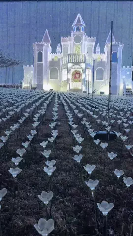 おとけしきのTikTok投稿