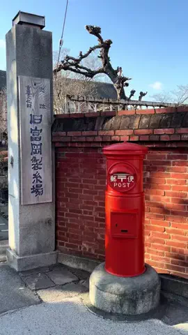 おとけしきのTikTok投稿