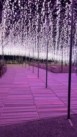 おとけしきのTikTok投稿