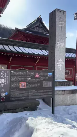 おとけしきのTikTok投稿