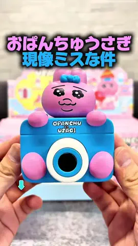 カーニャランドのTikTok投稿