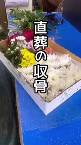 yotsubaのTikTok投稿