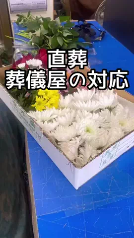 yotsubaのTikTok投稿