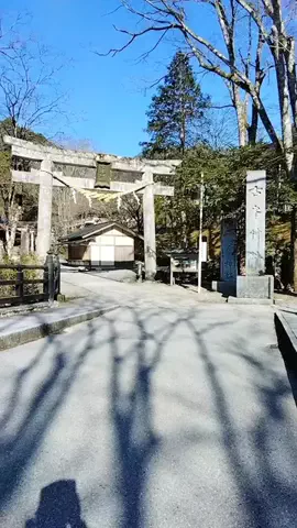 鮒244のTikTok投稿