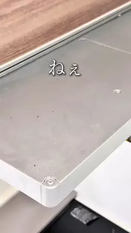 まみる🍎年子3人ママのハックアイテムのTikTok投稿