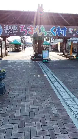 鮒244のTikTok投稿