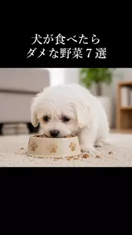 犬の教科書📕のTikTok投稿