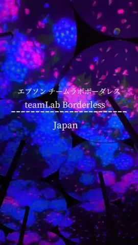 初音美優華（みゆか）のTikTok投稿
