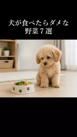 犬の教科書📕のTikTok投稿
