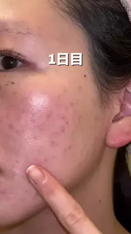 真っ白ちゃんのTikTok投稿