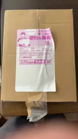 いそかわ　ひろたかのTikTok投稿