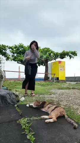 南国カップルのTikTok投稿