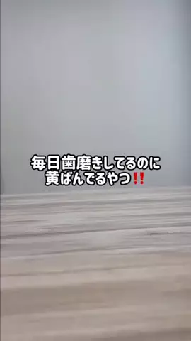 🦋あいる🦋のTikTok投稿