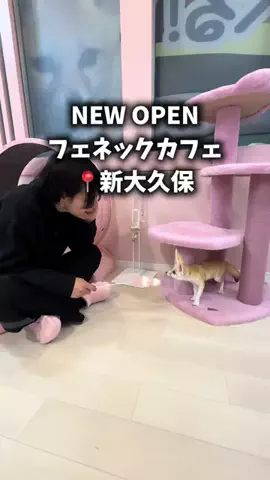りとスポットのTikTok投稿