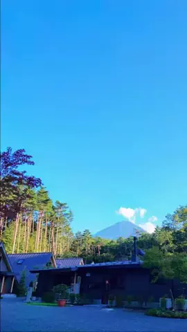 山梨グルメ／YAMANASHI SELECTのTikTok投稿