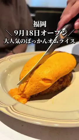 ドンマンログ【福岡居酒屋/福岡ランチ】のTikTok投稿