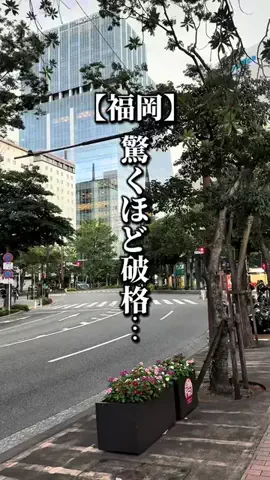 ドンマンログ【福岡居酒屋/福岡ランチ】のTikTok投稿