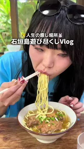 🐯とらびっと🐰のTikTok投稿
