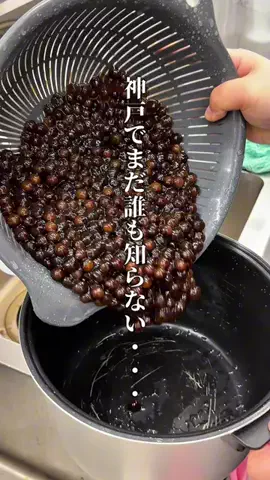 神戸グルメまひろのTikTok投稿