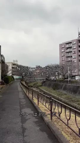 北九州/ここーはどこーだ？のTikTok投稿