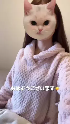 美容散財マン💰のTikTok投稿